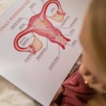 Alles Wat je Moet Weten over de Eisprong